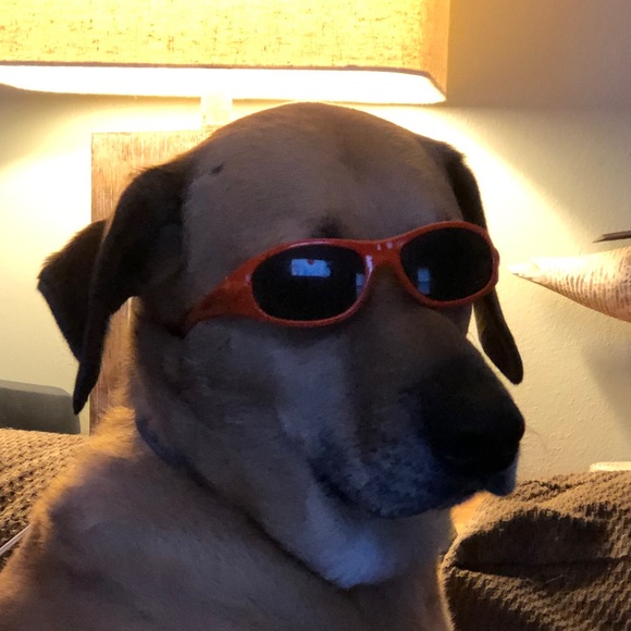 Meet your Posher, Andrew - Picture 1 of 1